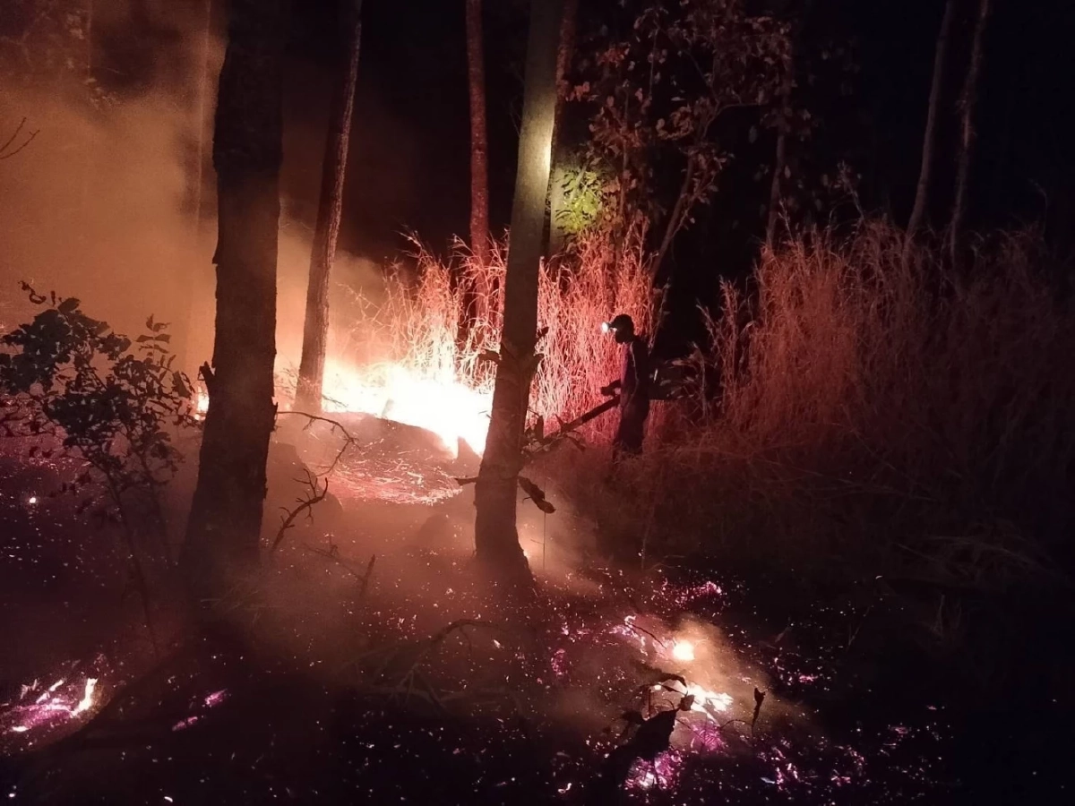 ฝุ่นยังคลุมเหนือ ไฟป่ายังปะทุ ทำความรู้จัก 'เผาควบคุม' เครื่องมือที่รัฐใช้สกัดไฟใหญ่