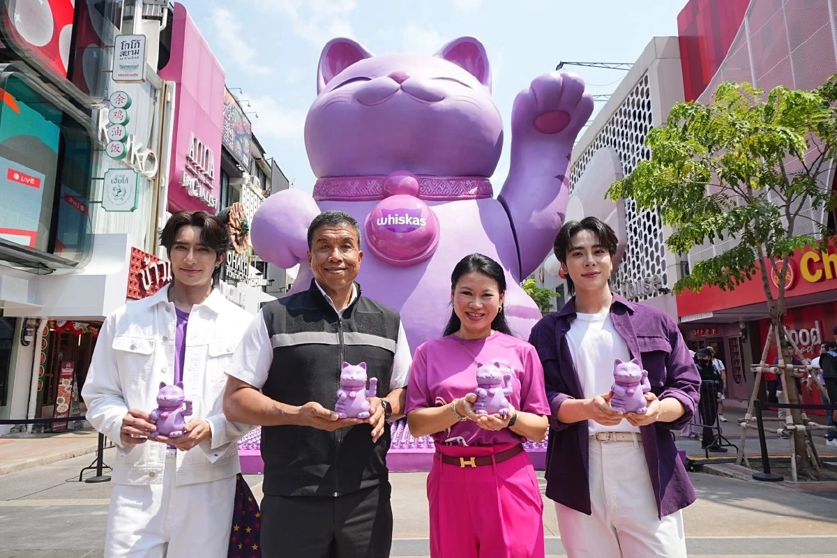Gen Z ไทยฮิตเลี้ยงแมว ‘คลายความเครียด’ ยอมเปย์หนักเพื่อลูกรัก ดันตลาดอาหารโต