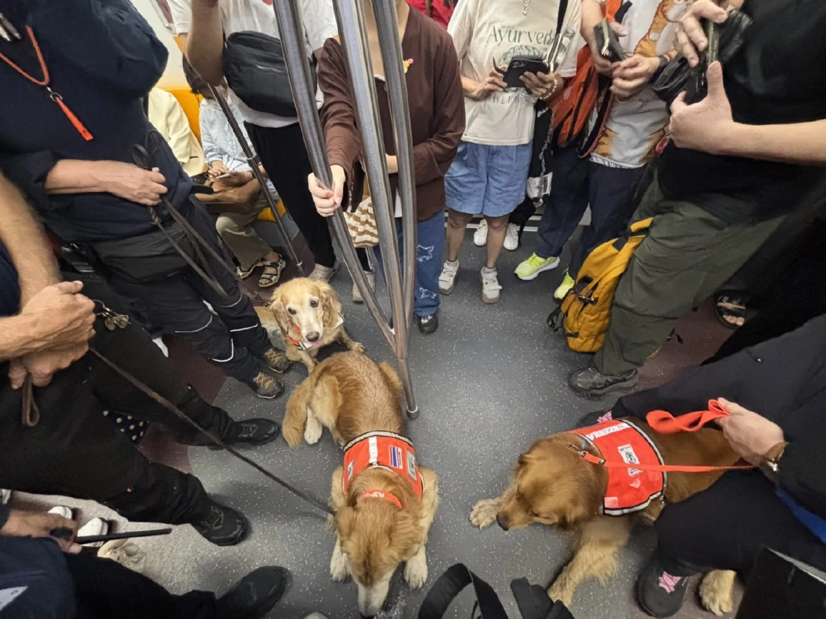 บีทีเอสเปิดสถานีรับทีม K9 USAR Thailand ฝึกเคลื่อนย้ายกำลังพล