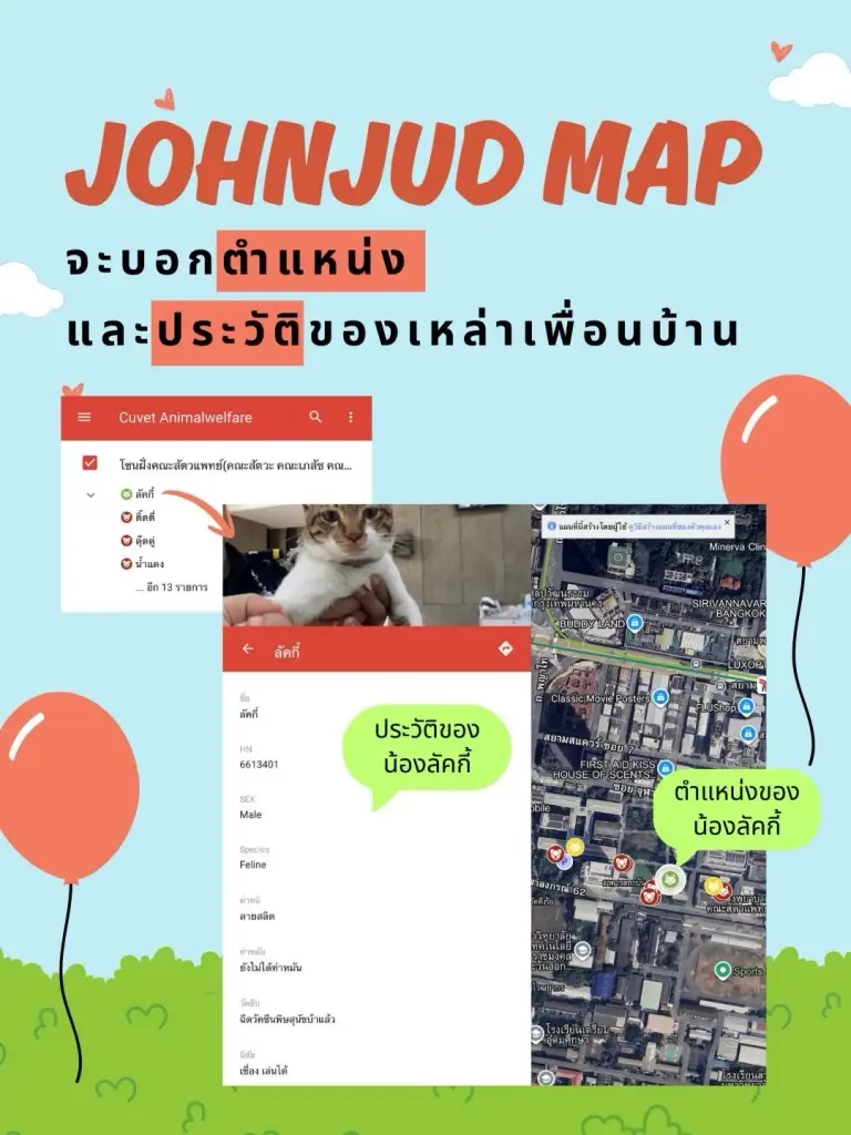 'JohnJud Map' โมเดลจัดการ 'แมว-สุนัขจรจัด' ฉบับชาวจุฬาฯ เช็กได้ตัวไหนเฟรนลี่