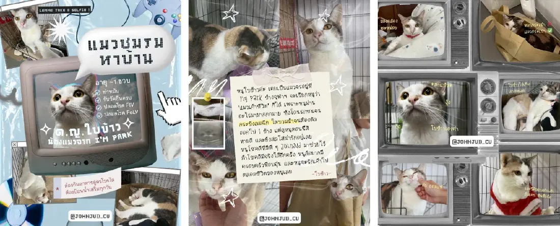 'JohnJud Map' โมเดลจัดการ 'แมว-สุนัขจรจัด' ฉบับชาวจุฬาฯ เช็กได้ตัวไหนเฟรนลี่