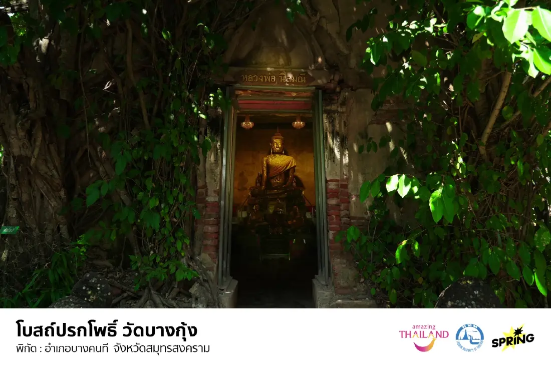 เสน่ห์เมืองแม่กลอง: วิถีไทย กิน เที่ยว รักษ์โลก จบครบในทริปเดียว