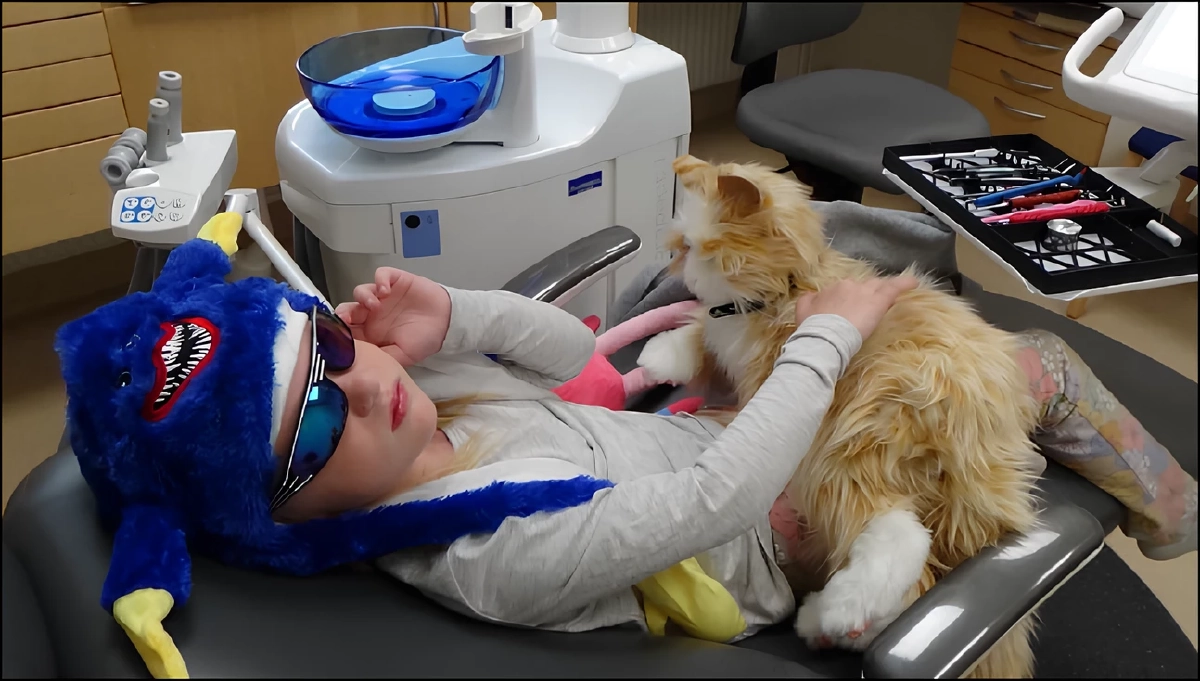 ‘หุ่นยนต์สัตว์เลี้ยง’ เทรนด์มาแรง งานวิจัยชี้บำบัดผู้สูงวัย-เด็กได้จริง