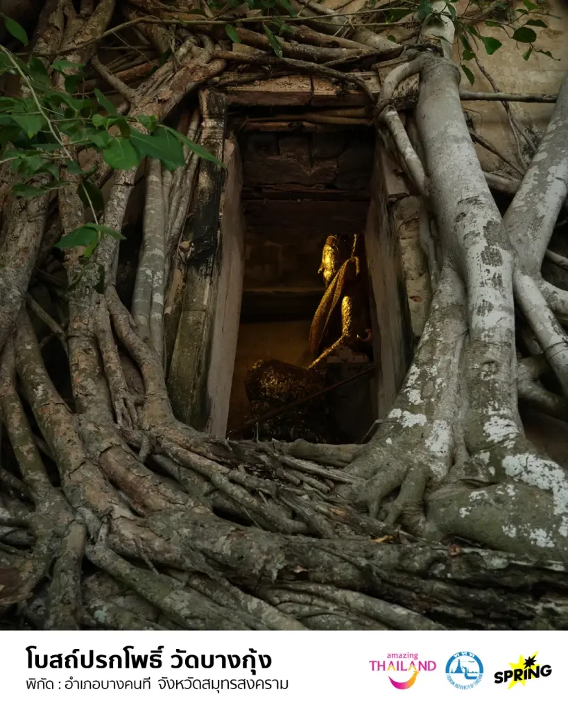 เสน่ห์เมืองแม่กลอง: วิถีไทย กิน เที่ยว รักษ์โลก จบครบในทริปเดียว