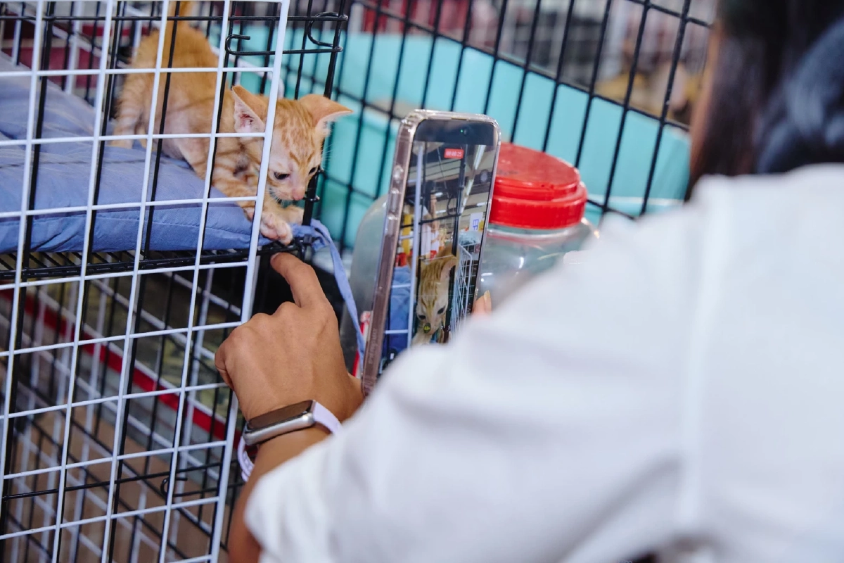 จาก 'เรือนกระจกโลกร้อน' ถึง 'พลาสติกทำลายโลก' แคมเปญ Epson ที่วัดผลได้จริง