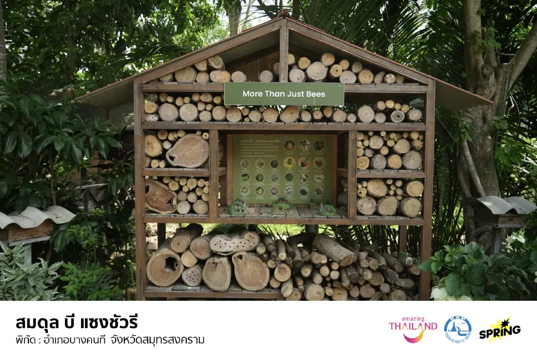 เสน่ห์เมืองแม่กลอง: วิถีไทย กิน เที่ยว รักษ์โลก จบครบในทริปเดียว