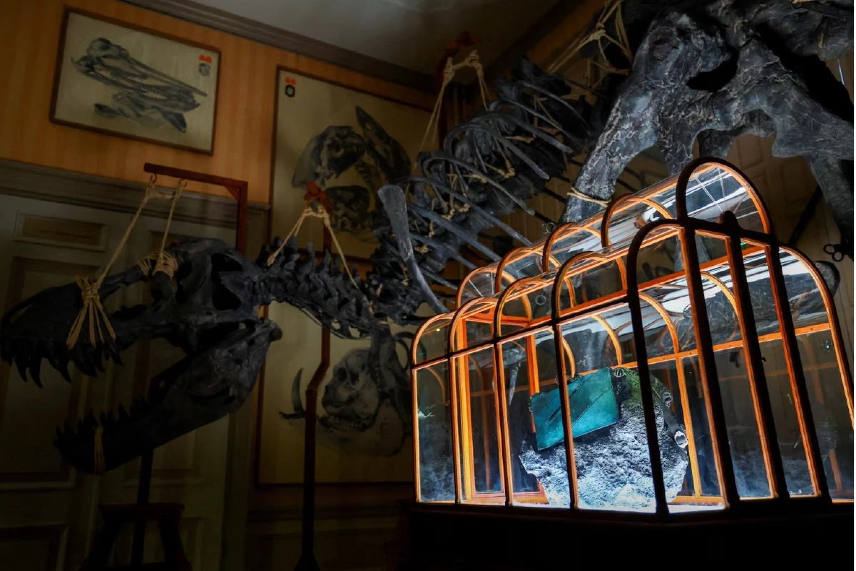 เปิดตัวกระเป๋าหนังจากคอลลาเจนฟอสซิล "ทีเร็กซ์" ไร้พลาสติก เตรียมประมูลกว่า 16.3 ล้านบาท ท่ามกลางข้อสงสัยว่านี่คือหนังไดโนเสาร์แท้หรือไม่ ? Credit ภาพ REUTERS 