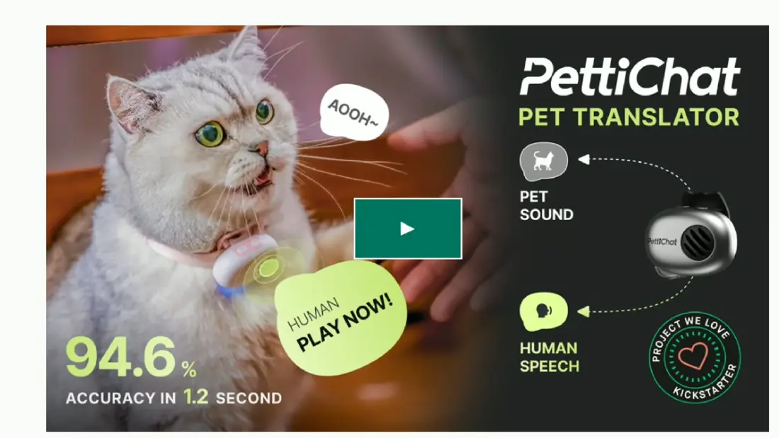 pettichat เปิดตัว 'ปลอกคอ AI' แปลภาษาหมา-แมว' เคลมแม่นยำ 94.6%