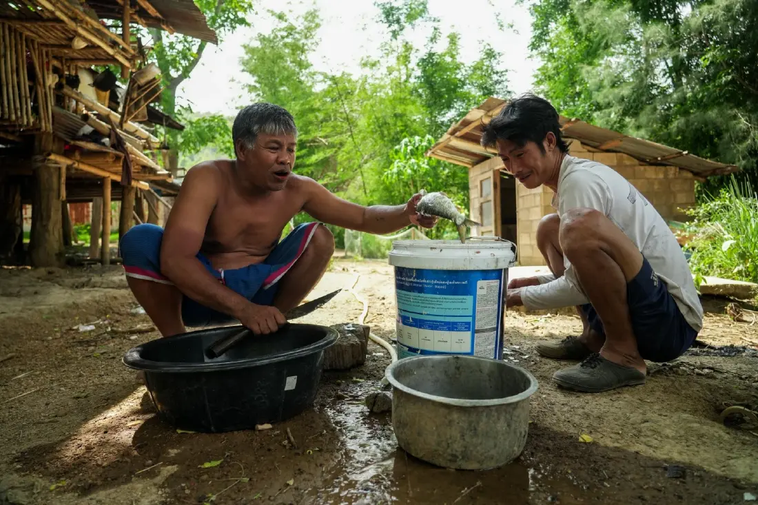 บางกลอย 2569 วิถีชีวิตและความมั่นคงที่ชาวบ้านขอเลือกเอง