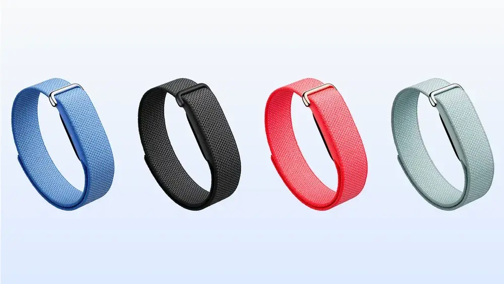 CREDIT : Fitbit