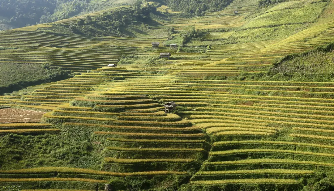 ที่มา: reuters