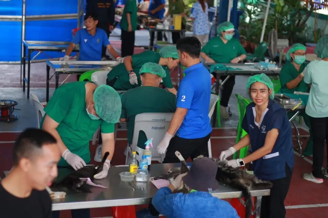 ‘ดร.จอห์น’ ชูนโยบายผลักดัน 'โรงพยาบาลสัตว์กรุงเทพมหานคร'