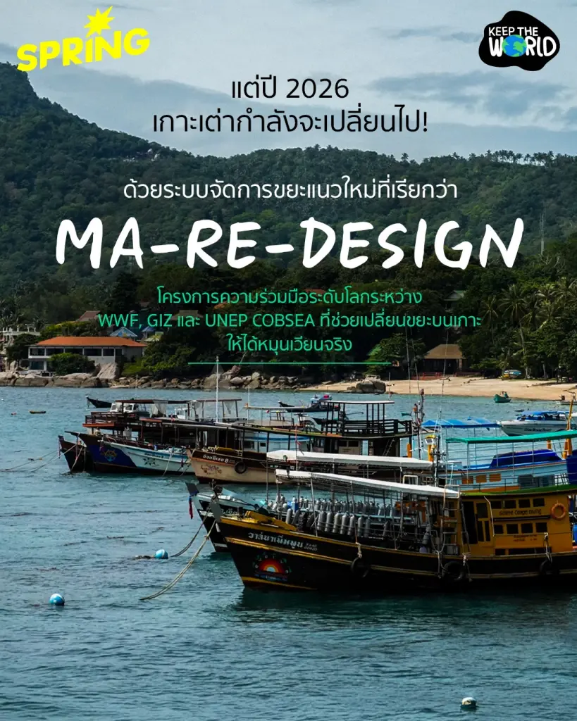รีวิวเกาะเต่า 2026 จากสวรรค์นักดำน้ำ กำลังจะกลายเป็นเกาะไร้ขยะเร็ว ๆ นี้