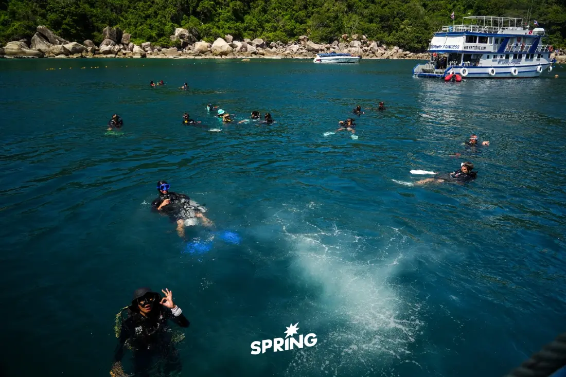 รีวิวเกาะเต่า 2026 จากสวรรค์นักดำน้ำ กำลังจะกลายเป็นเกาะไร้ขยะเร็ว ๆ นี้