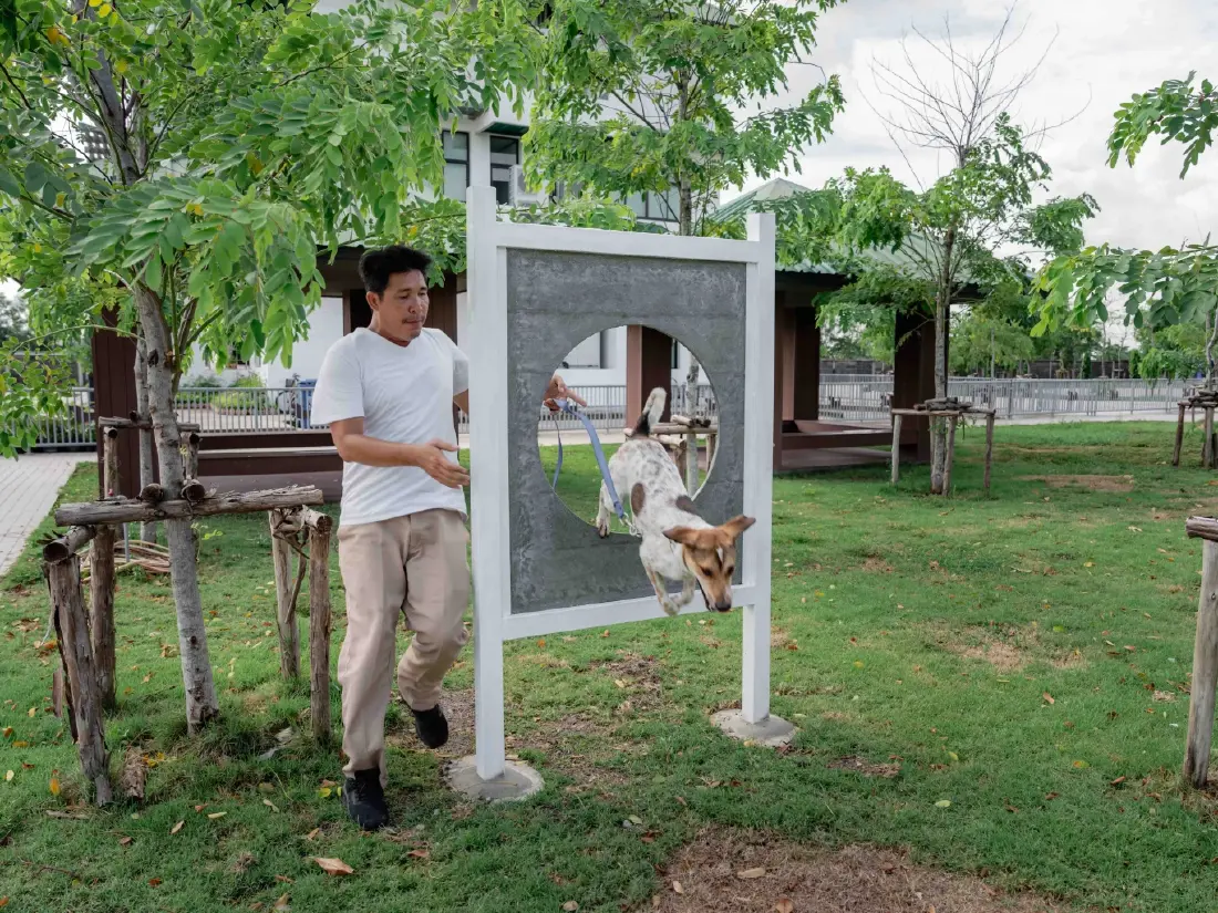 เปลี่ยนซองอาหารสัตว์ เป็นพื้นที่แห่งความสุขของสุนัขจร!