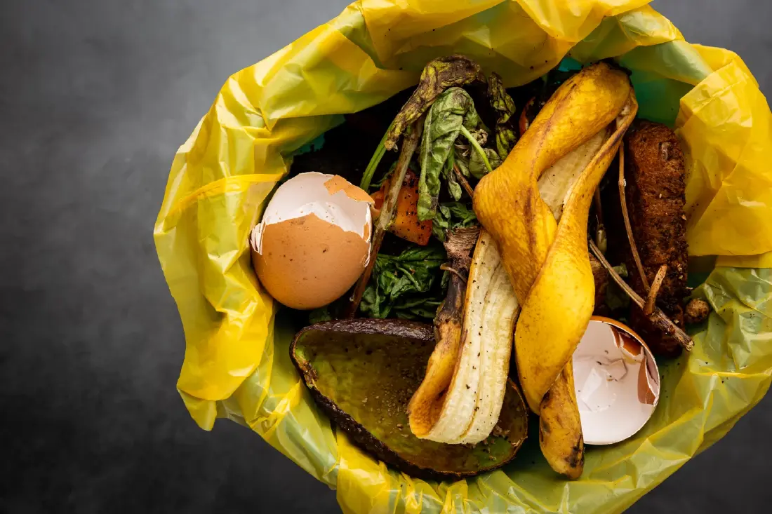 ชวนแชร์คลิปสั้น ไอเดียจัดการขยะอาหารด้วยตัวคุณเอง 'ภารกิจพิชิต Food Waste'