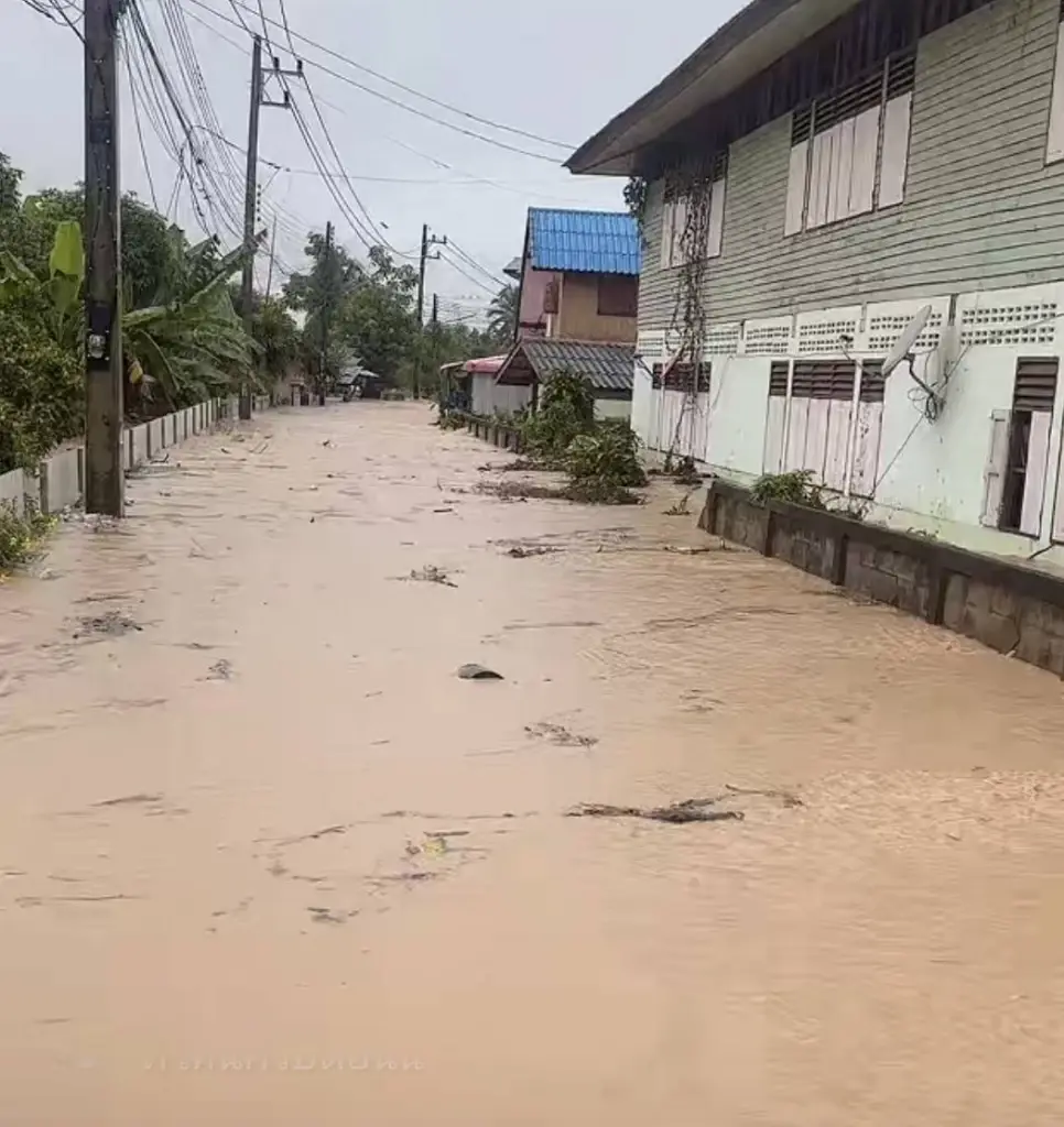 เทียบชัด! หากฝนตก 200 มม.เท่ากันทุกปี แต่ทำไมวันนี้? น้ำท่วมน่าน-ทั่วไทยแรง