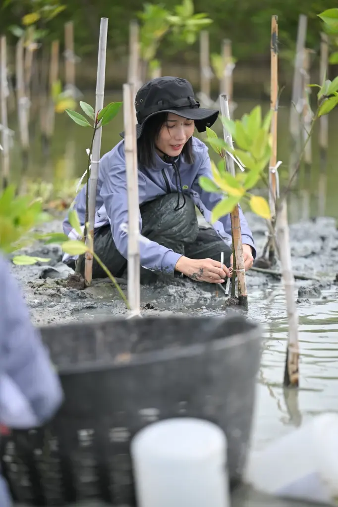 ‘พริมาอาสา ปี6’ ฟื้นฟูป่าชายเลน 2,000 ต้น เปลี่ยน ‘เชือกเรือ’ เป็นประโยชน์เพื่อความยั่งยืน
