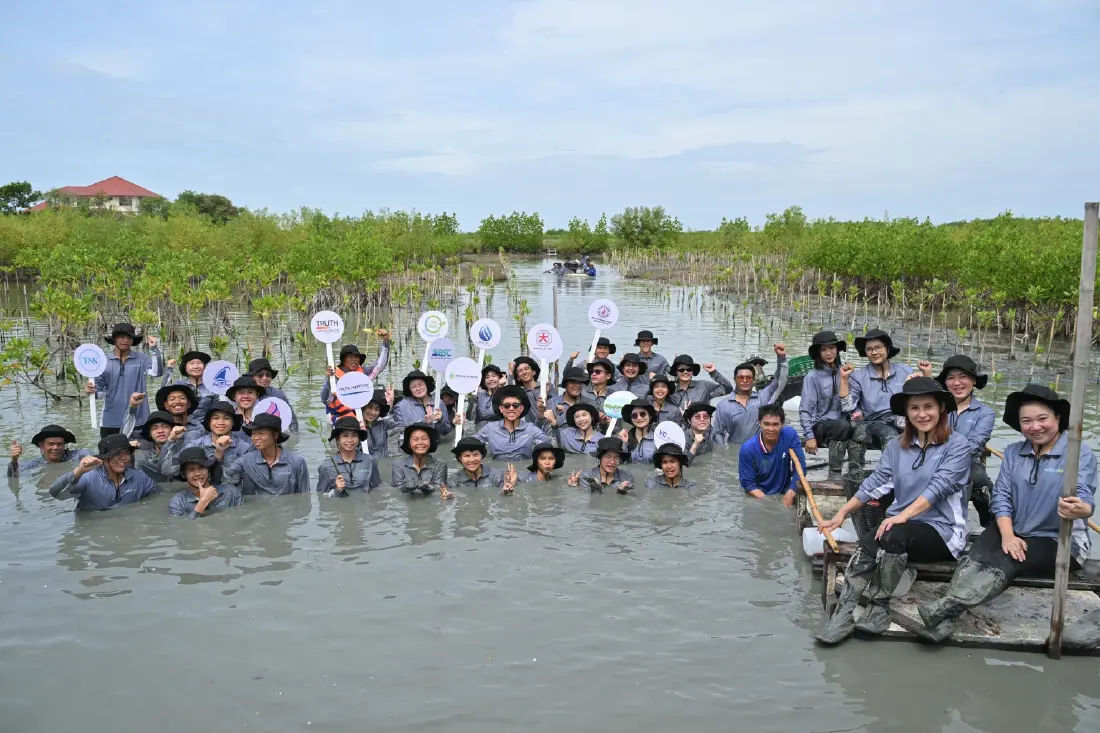 ‘พริมาอาสา ปี6’ ฟื้นฟูป่าชายเลน 2,000 ต้น เปลี่ยน ‘เชือกเรือ’ เป็นประโยชน์เพื่อความยั่งยืน