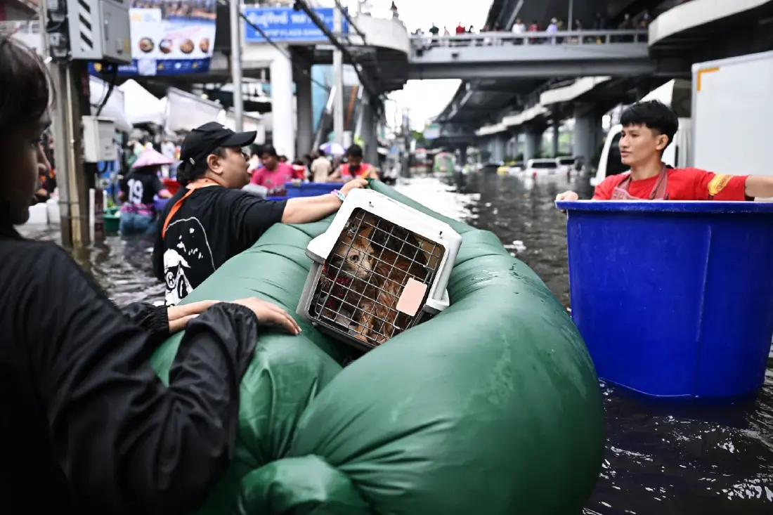 ฝนหยุดแล้ว แต่ทำไมน้ำท่วมกรุงเทพฯ ปี 2569 ยังไม่ลดลง ? ทำไมการระบายน้ำไม่ทันใจคน Credit ภาพ AFP