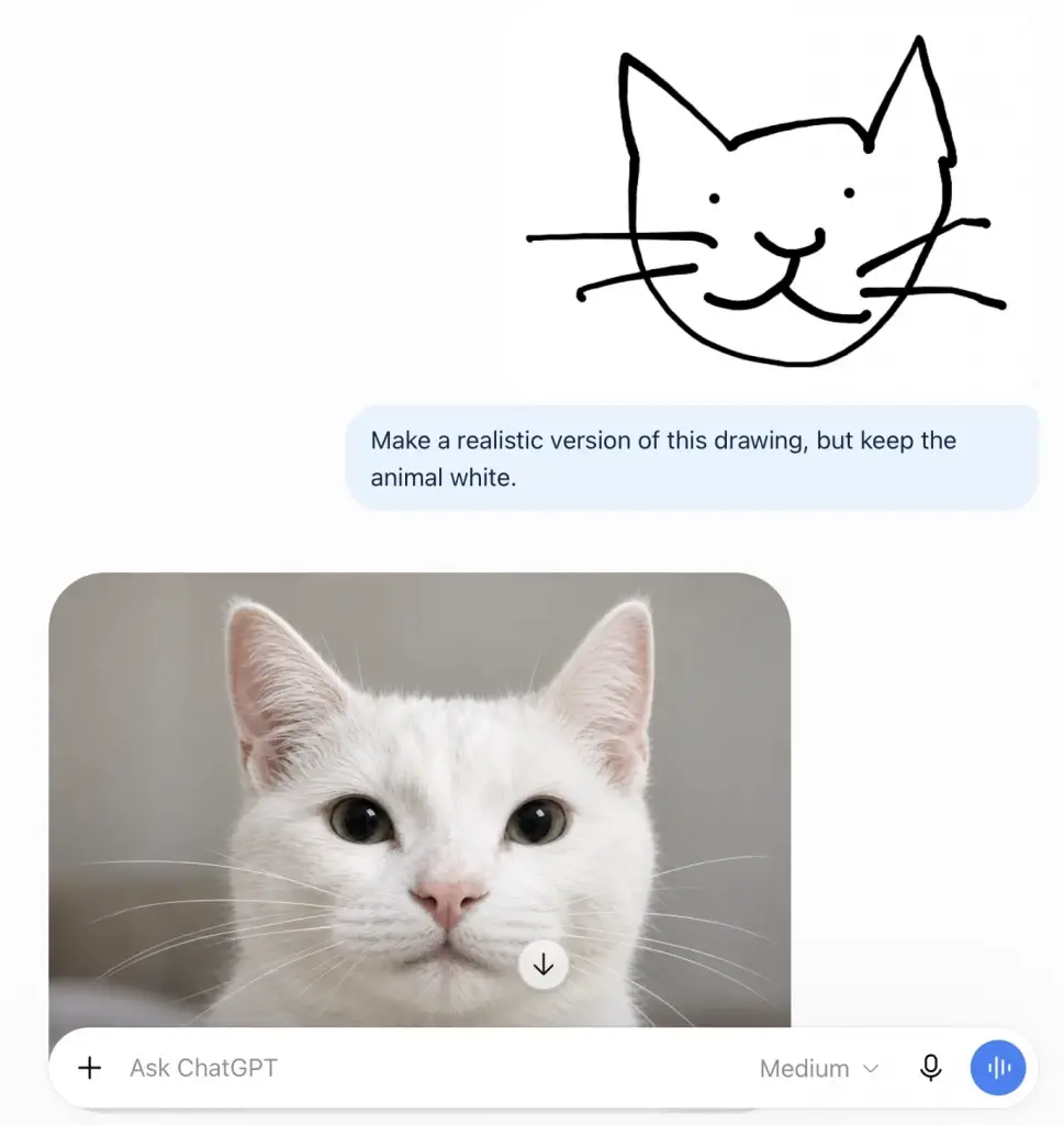 CREDIT : The Verge
