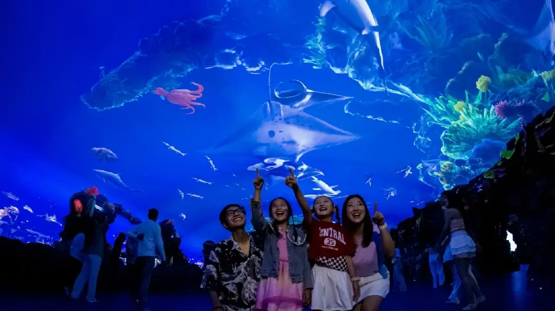 ดรีมเวิลด์ เปิด ‘Under The Sea’ จำลองโลกใต้ทะเล รวมสัตว์กว่า 100 สายพันธุ์