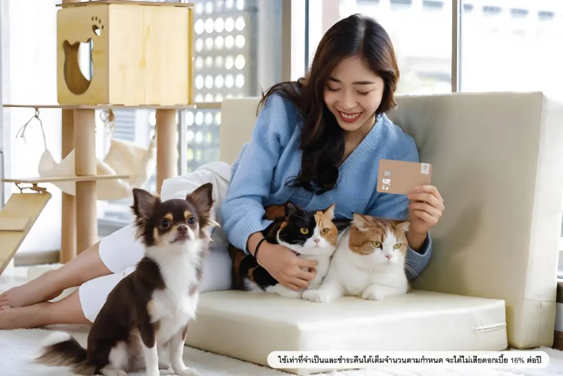 เปย์หมาแมวไม่แผ่ว! กรุงศรีรุกตลาด Pet Parents ตั้งเป้ารูดบัตรแตะ 1,000 ล้าน