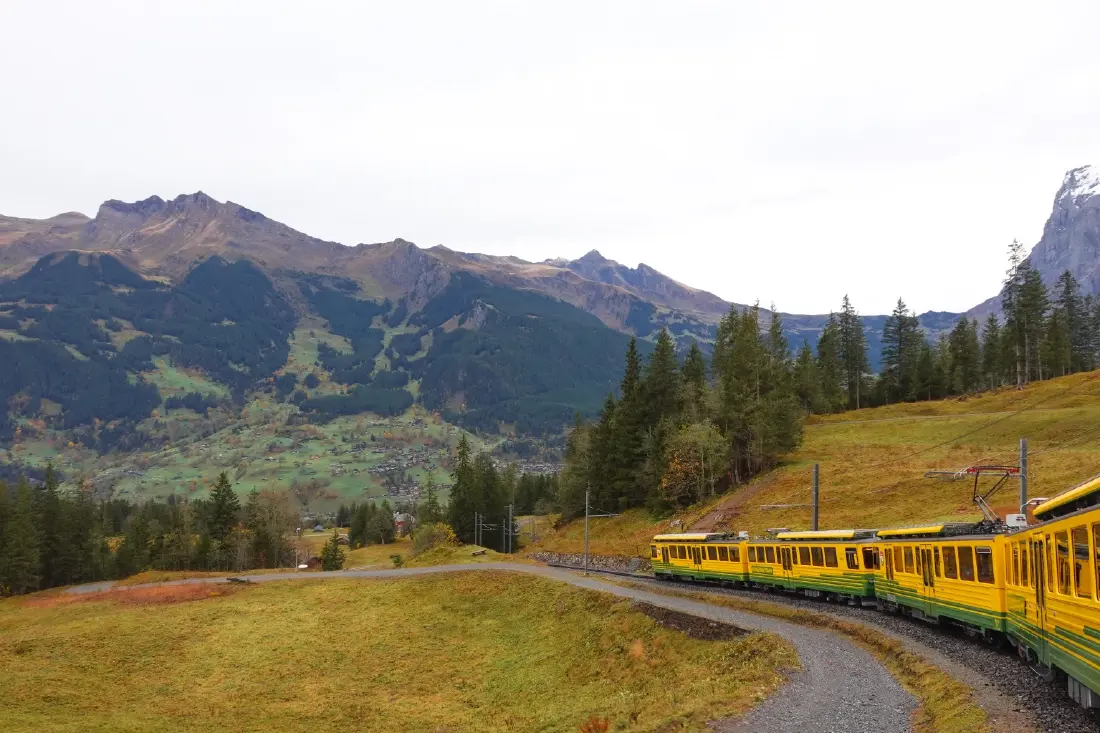 Jungfrau Railways รถไฟสายรักษ์โลกแห่งสวิสฯ กับ Green Native มามากกว่า 100 ปีแล้ว!