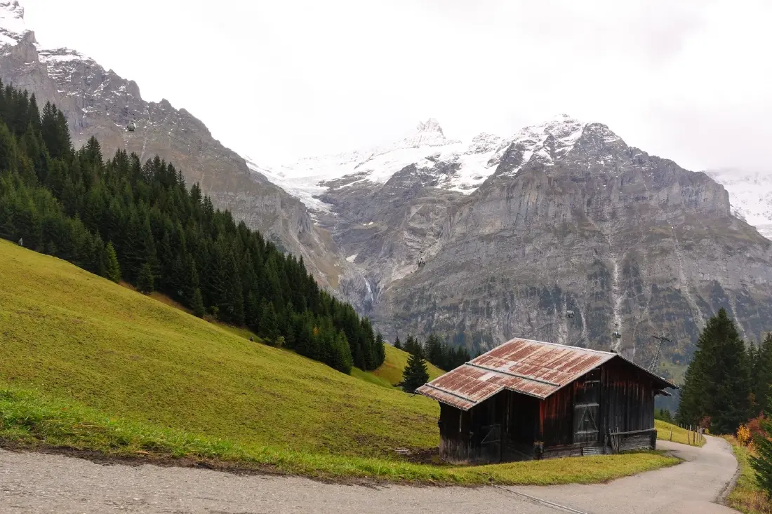 Jungfrau Railways รถไฟสายรักษ์โลกแห่งสวิสฯ กับ Green Native มามากกว่า 100 ปีแล้ว!