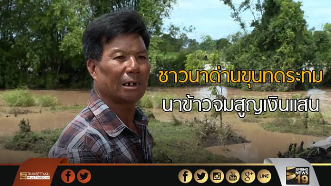 ชาวนาด่านขุนทดระทม นาข้าวจมสูญเงินแสน ชาวนาด่านขุนทดระทม นาข้าวจมสูญเงินแสน