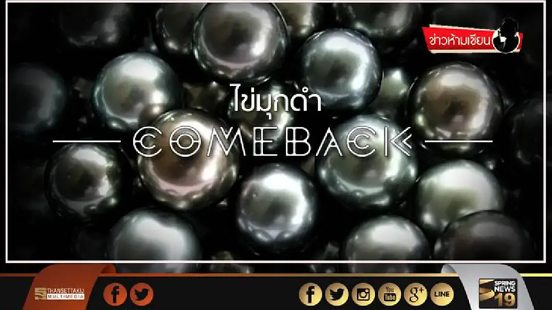ข่าวห้ามเขียน : ไข่มุกดำคัมแบ็ก ข่าวห้ามเขียน : ไข่มุกดำคัมแบ็ก
