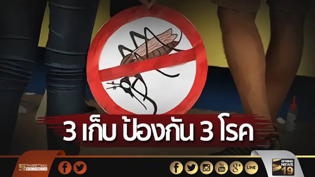 กรมควบคุมโรคย้ำมาตรการ “3 เก็บ ป้องกัน 3 โรค” กรมควบคุมโรคย้ำมาตรการ “3 เก็บ ป้องกัน 3 โรค”