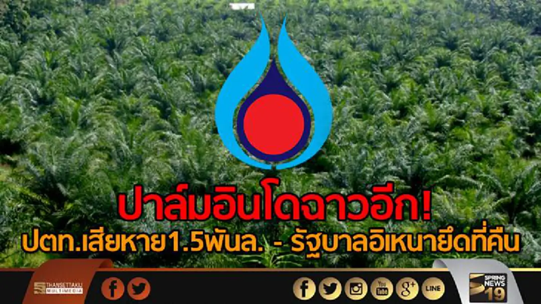 ปาล์มอินโดฉาวอีก! -ปตท.เสียหาย1.5พันล.- รัฐบาลอิเหนายึดที่คืน ปาล์มอินโดฉาวอีก! -ปตท.เสียหาย1.5พันล.- รัฐบาลอิเหนายึดที่คืน