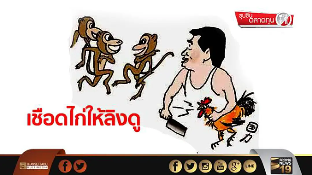 ซุบซิบตลาดทุน : เชือดไก่ให้ลิงดู ซุบซิบตลาดทุน : เชือดไก่ให้ลิงดู