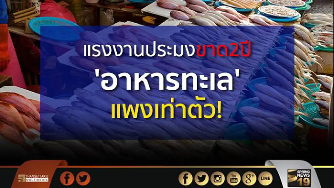 แรงงานประมงขาด 2 ปี ดัน 'อาหารทะเล' แพงเท่าตัว!
