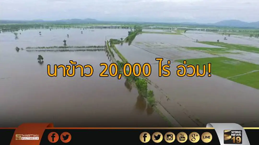 น้ำท่วมนครสวรรค์ กระทบนาข้าว 20,000 ไร่ น้ำท่วมนครสวรรค์ กระทบนาข้าว 20,000 ไร่