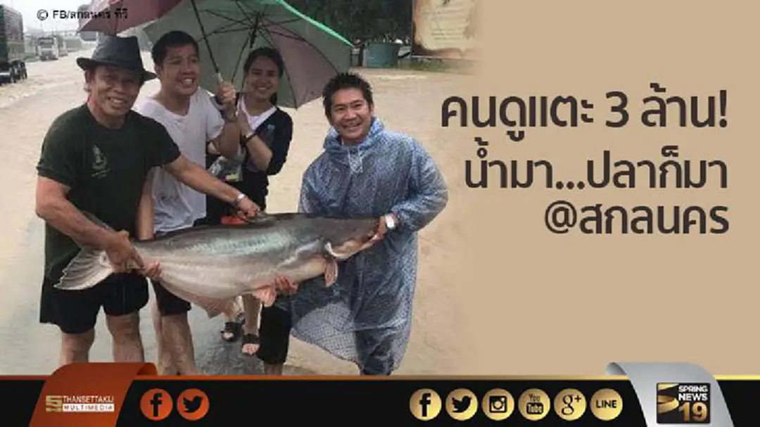 คนดูแตะ 3 ล้าน! น้ำมา...ปลาก็มา @สกลนคร คนดูแตะ 3 ล้าน! น้ำมา...ปลาก็มา @สกลนคร