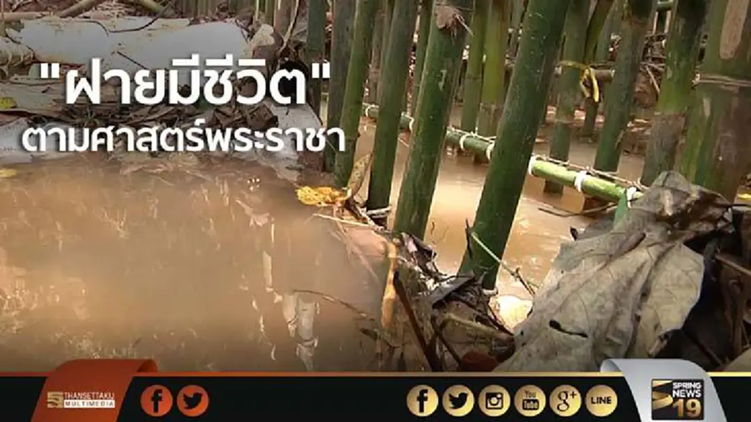 "ฝายมีชีวิต" ตามศาสตร์พระราชา "ฝายมีชีวิต" ตามศาสตร์พระราชา
