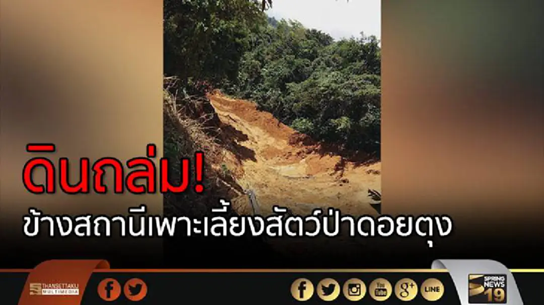 ดินถล่ม! ข้างสถานีเพาะเลี้ยงสัตว์ป่าดอยตุง เสาไฟฟ้าหักเพียบ หลายหมู่บ้านไร้ไฟฟ้า ดินถล่ม! ข้างสถานีเพาะเลี้ยงสัตว์ป่าดอยตุง เสาไฟฟ้าหักเพียบ หลายหมู่บ้านไร้ไฟฟ้า