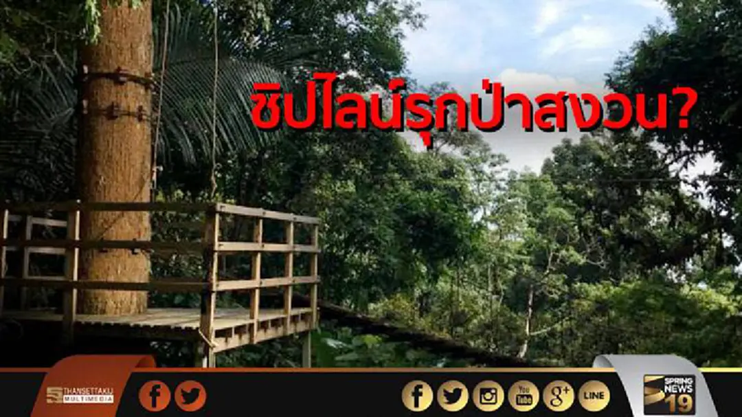 ซิปไลน์รุกป่าสงวน? ซิปไลน์รุกป่าสงวน?