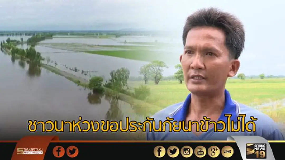 ชาวนานครสวรรค์ห่วงขอประกันภัยนาข้าวไม่ได้ ชาวนานครสวรรค์ห่วงขอประกันภัยนาข้าวไม่ได้