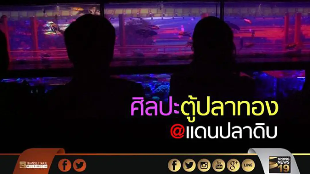 ศิลปะตู้ปลาทอง@แดนปลาดิบ