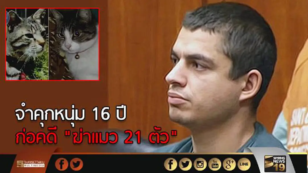 จำคุกหนุ่ม 16 ปี ก่อคดี "ฆ่าแมว 21 ตัว" จำคุกหนุ่ม 16 ปี ก่อคดี "ฆ่าแมว 21 ตัว"