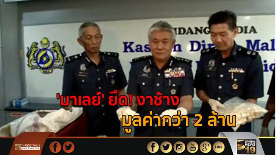 'มาเลย์' ยึด! งาช้าง มูลค่ากว่า 2 ล้าน ลักลอบผ่านสนามบิน 'มาเลย์' ยึด! งาช้าง มูลค่ากว่า 2 ล้าน ลักลอบผ่านสนามบิน