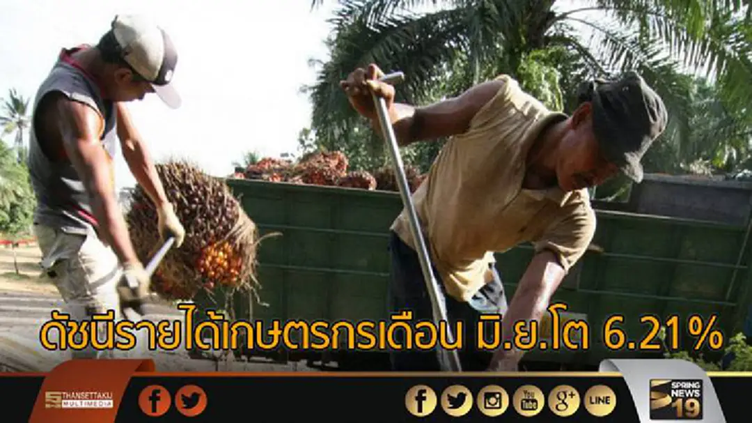 ดัชนีรายได้เกษตรกรเดือน มิ.ย.โต 6.21% ครึ่งหลังยังมีปัจจัยคุกคาม ดัชนีรายได้เกษตรกรเดือน มิ.ย.โต 6.21% ครึ่งหลังยังมีปัจจัยคุกคาม