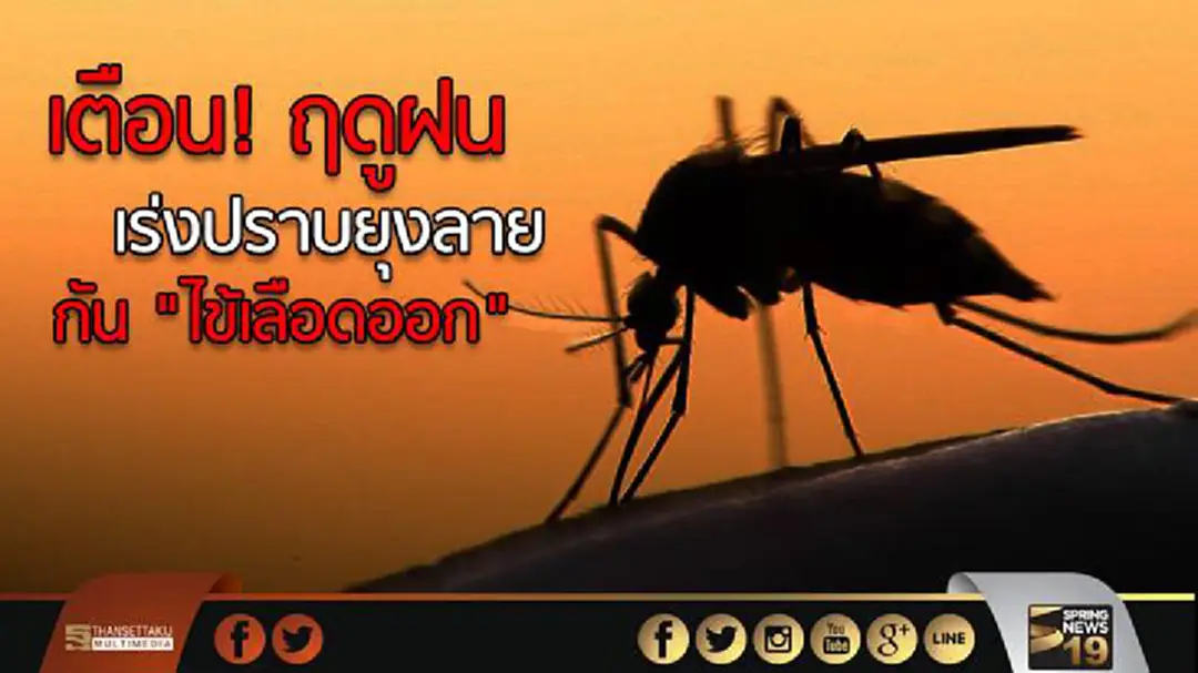 เตือน! ฤดูฝนเร่งปราบยุงลายกัน "ไข้เลือดออก" เตือน! ฤดูฝนเร่งปราบยุงลายกัน "ไข้เลือดออก"