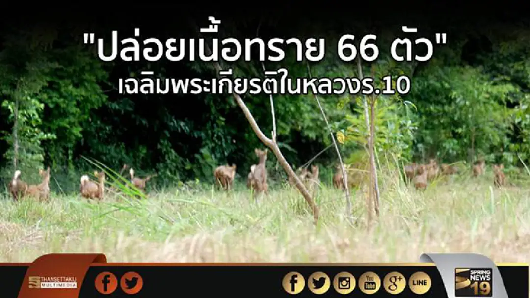 "ปล่อยเนื้อทราย 66 ตัว" เฉลิมพระเกียรติในหลวงร.10