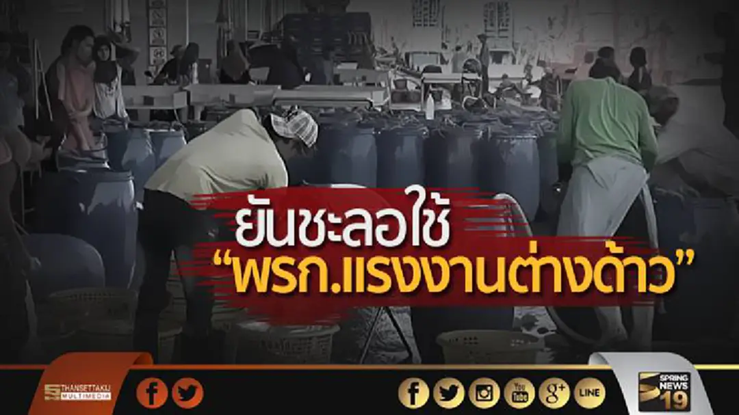 ยันชะลอใช้ “พรก.เเรงงานต่างด้าว” เเรงงานชี้รอ ม.44 วอนอย่าตระหนก ยันชะลอใช้ “พรก.เเรงงานต่างด้าว” เเรงงานชี้รอ ม.44 วอนอย่าตระหนก