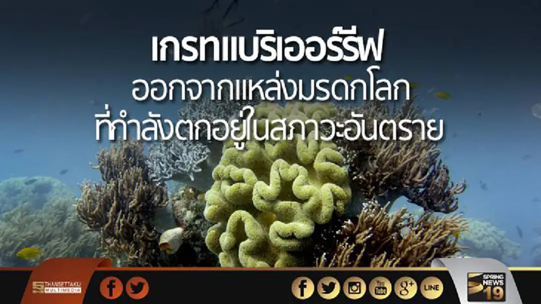 ยูเนสโกถอด “เกรทแบริเออร์รีฟ” ออกจากแหล่งมรดกโลกที่กำลังตกอยู่ในสภาวะอันตราย ยูเนสโกถอด “เกรทแบริเออร์รีฟ” ออกจากแหล่งมรดกโลกที่กำลังตกอยู่ในสภาวะอันตราย