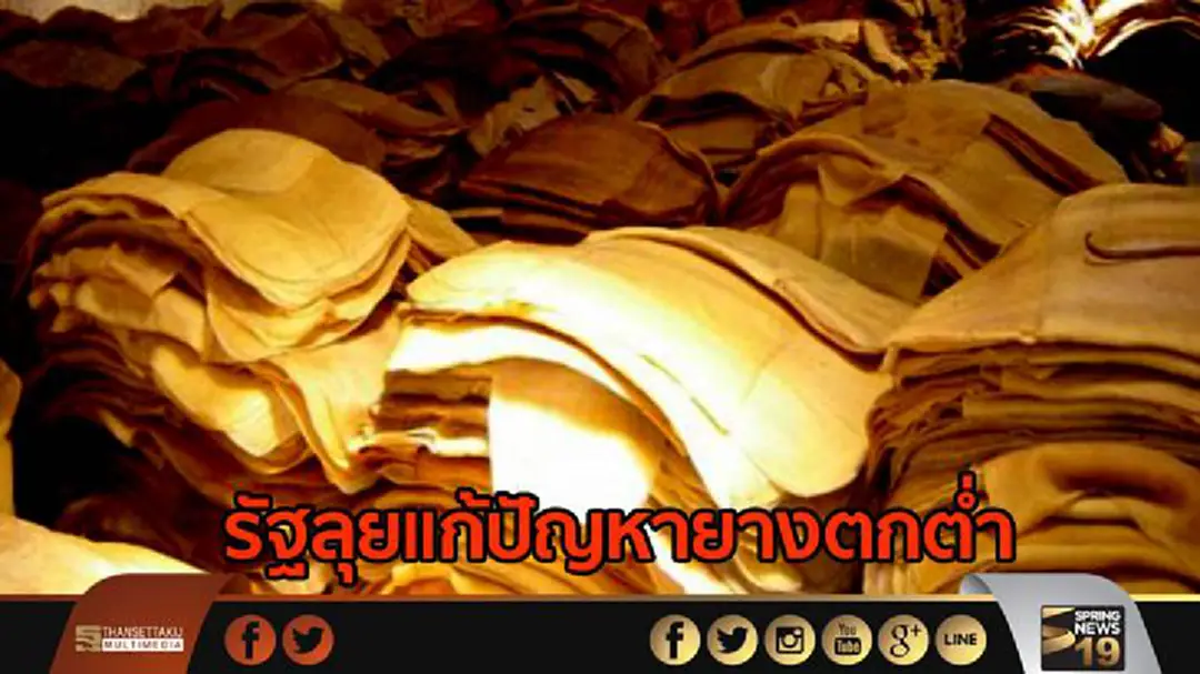 รัฐลุยแก้ปัญหายางตกต่ำ "ทำทั้งระบบไม่มุ่งปลายทาง" รัฐลุยแก้ปัญหายางตกต่ำ "ทำทั้งระบบไม่มุ่งปลายทาง"